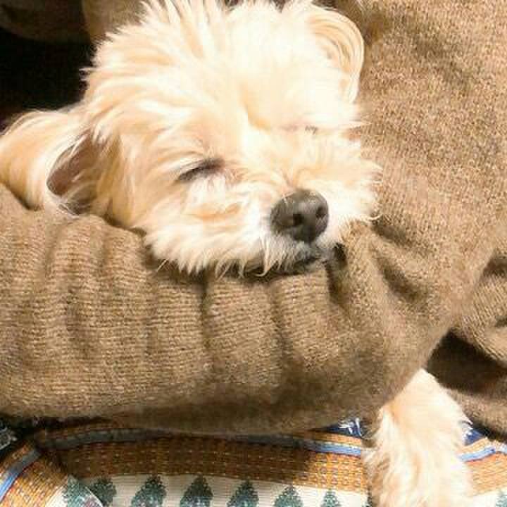 75291c02 dfe7 4466 8a82 54db3be9492e 1521374693470