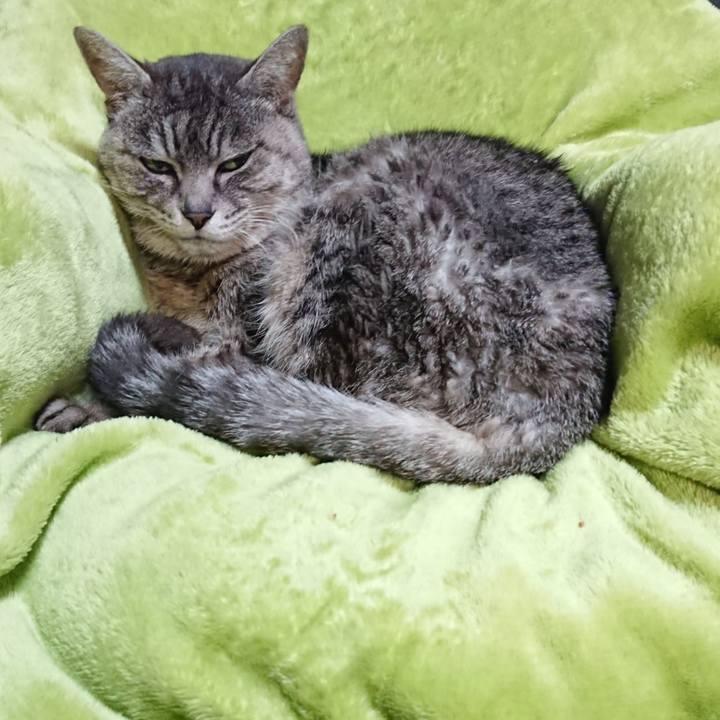 75294b26 a905 4212 8f88 59cb48d60887 1582199588234