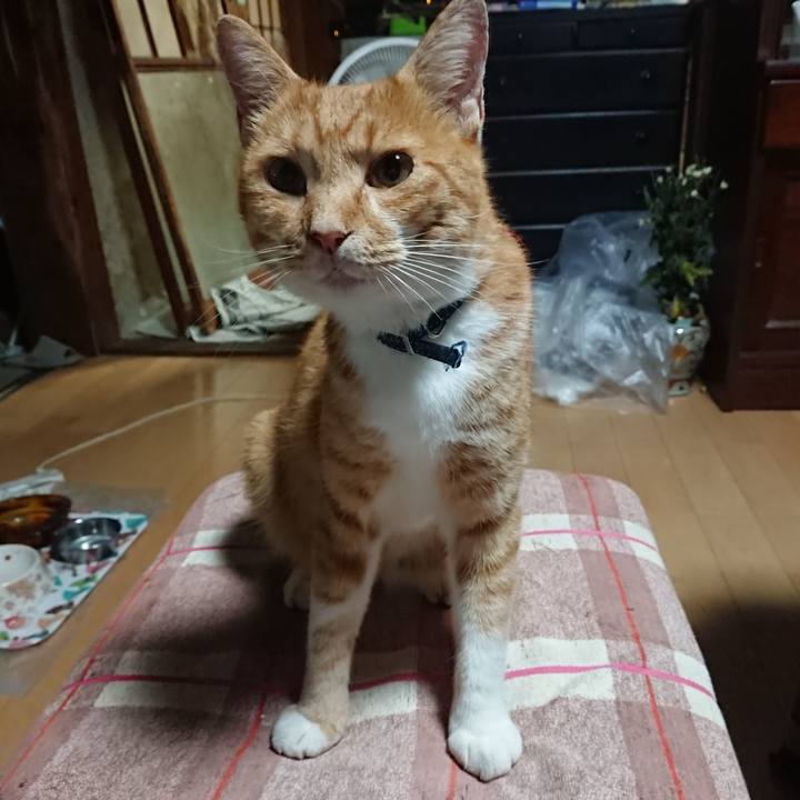 7529922e cf05 4dd7 a467 948fae8d5068 1599508251410