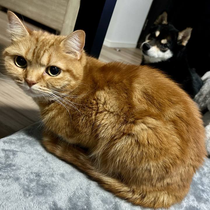 7529a2e4 fdf9 42d3 a164 c98bc714e327 1715083954438