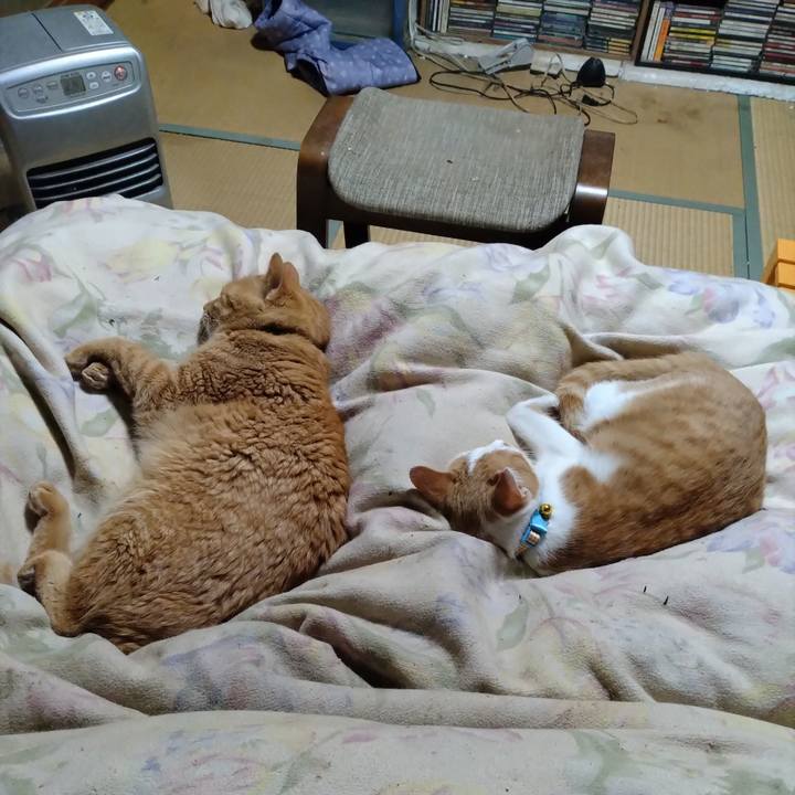 7529b1df 105d 4105 86b4 a3f17ab6a0a9 1733313308832