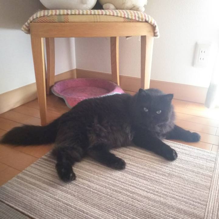 7529d1b2 a127 4547 a37b 321d020fc3ec 1564616754546