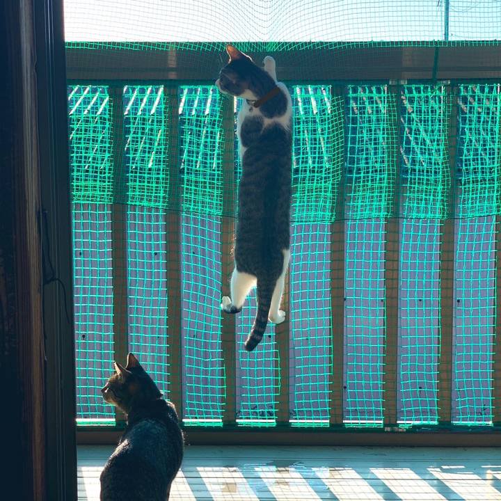 752a1cf0 0b5a 4033 853b e57d8ec71dba 1573610115029