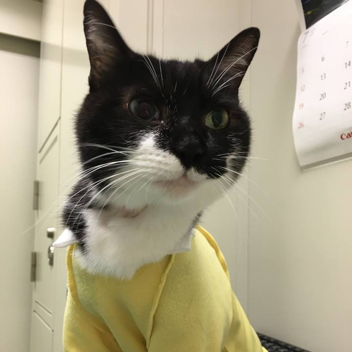 752a1f4e 3eed 4f49 9cca 2f55bd338ed0 1595942731945