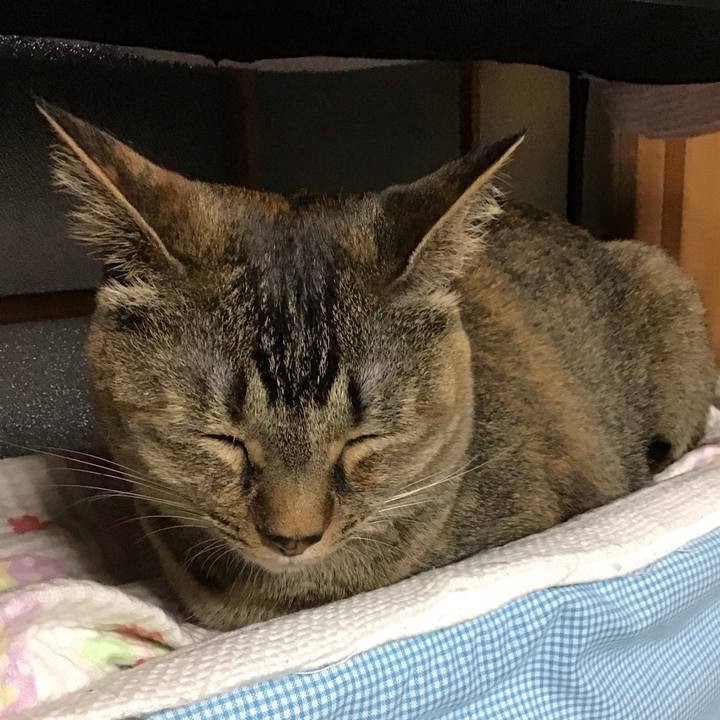 752a2136 c2e6 4b24 91ed bdd4cb499622 1656156778344