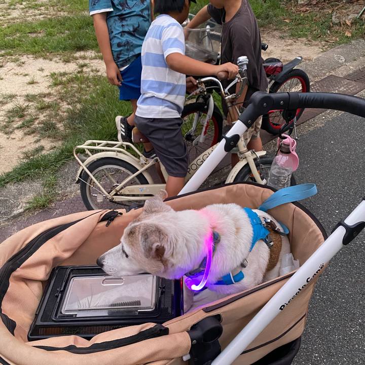 752a2e6d 5931 4e07 9e7d 19b740e23668 1727605558108