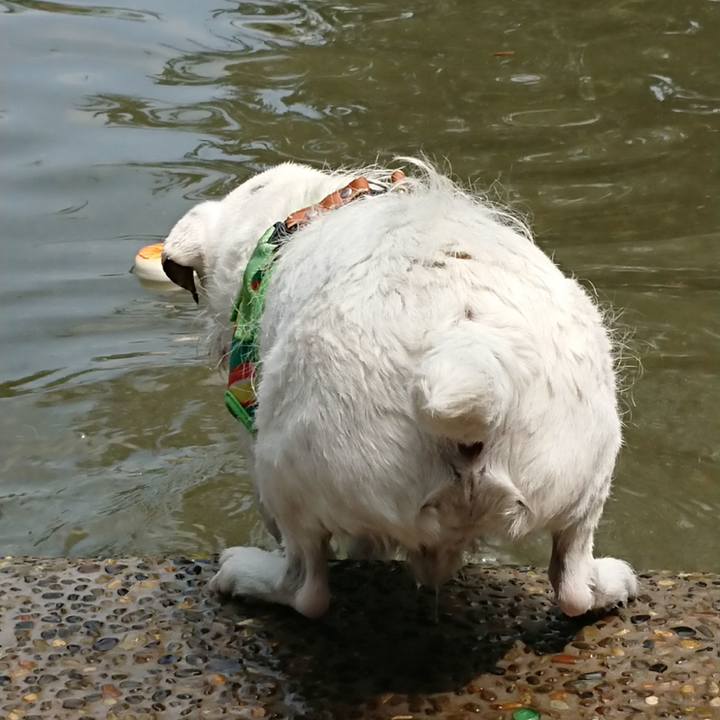 752a3275 2eef 4d16 8997 ab5c23ac921e 1567347948644