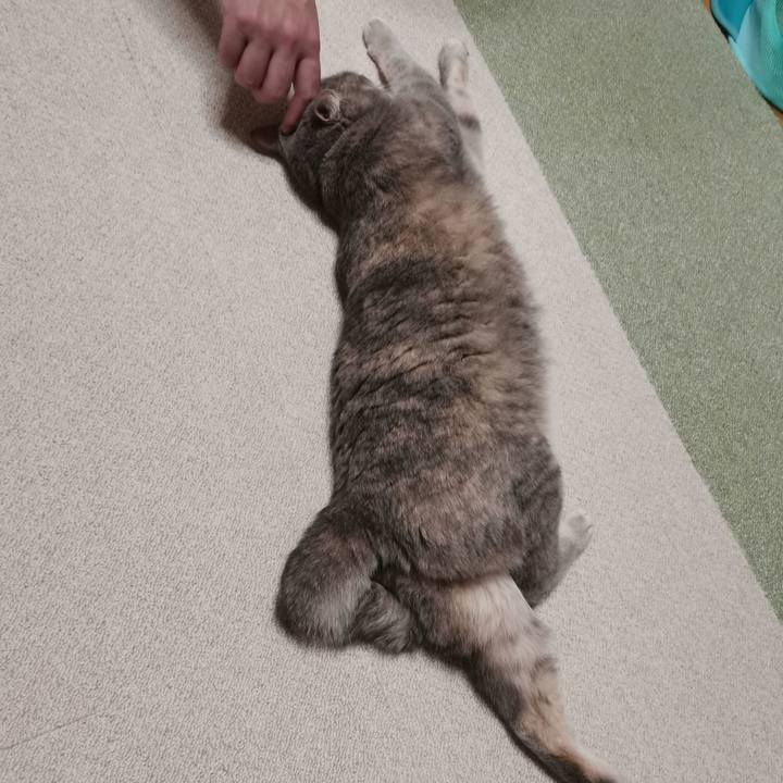 752a3fb7 5545 4d76 aa15 5f0d388dd834 1598967552223