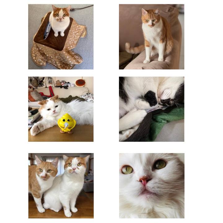 752a44ca 91d4 4c12 9694 069b0bb3ebee 1763934549459