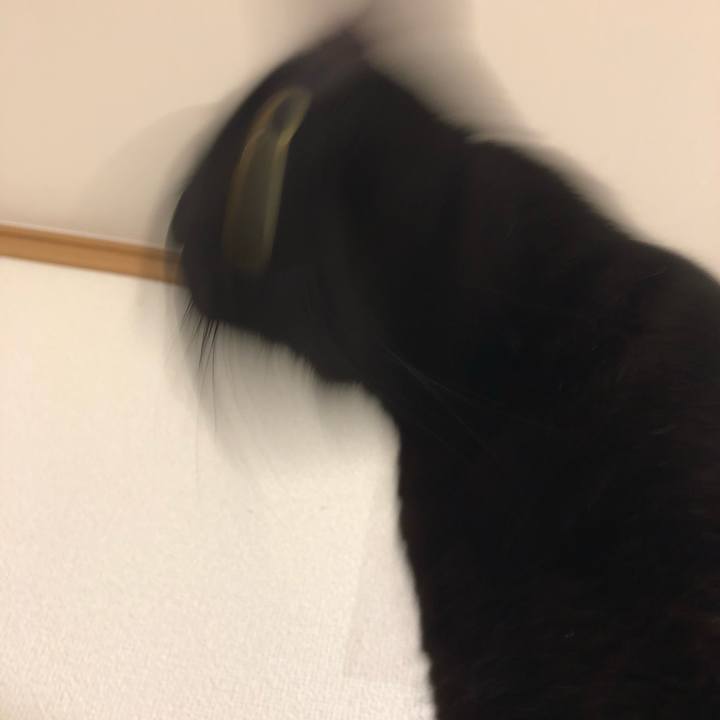 752a4836 9e87 4cb9 817b b0ff40420e2b 1536936476208