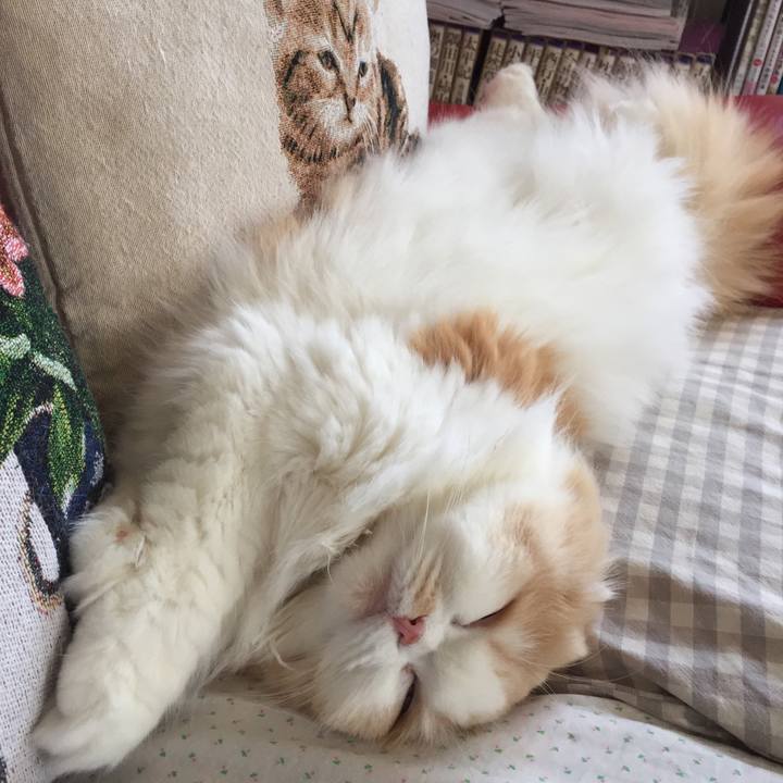 752a4cee 9953 47a6 9d95 6ccb412d3ba7 1525932844620