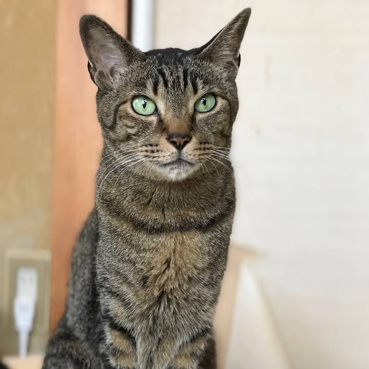 752a4f96 9385 4280 afff 95404461ea30 1527209785457