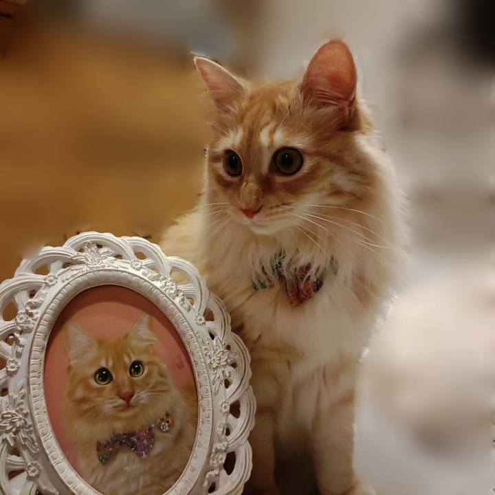 752a579f 8b8c 448c ab6b 9284159914eb 1656160264520