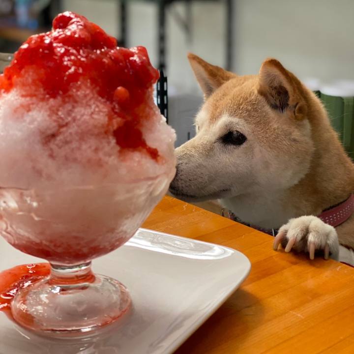 752a5fab 921e 457b 8cf6 8f89eac76f09 1659145691561