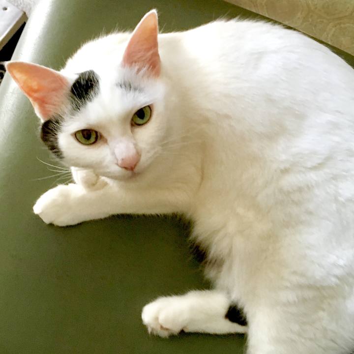 752ac0ca 82cc 4993 8f6b cdbc839c5e9b 1565579743453