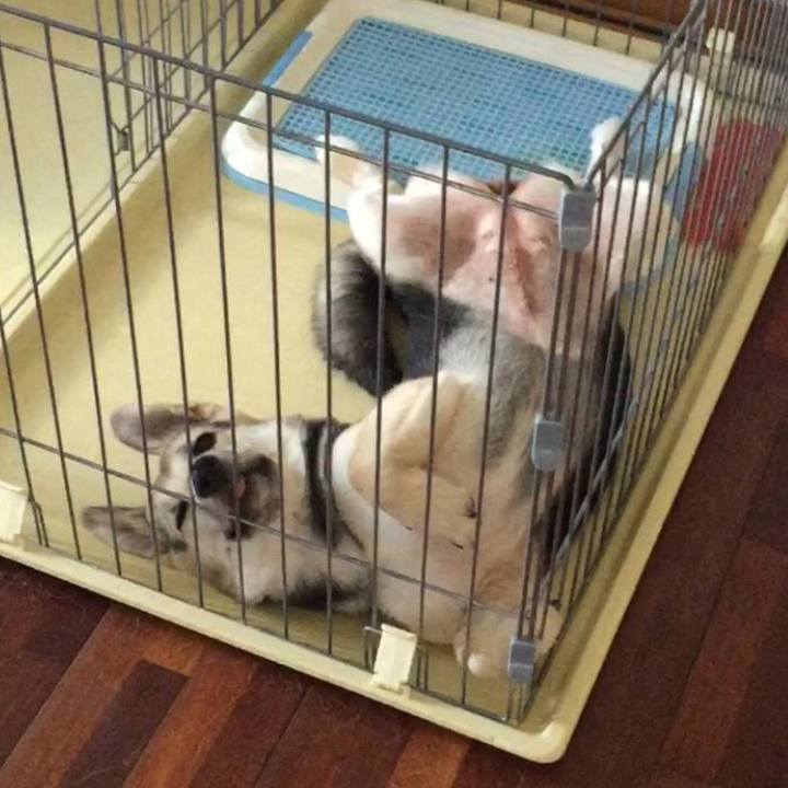 752af517 cda8 47ff bb1c 92f5af99d93d 1724249312871