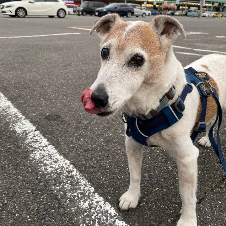 752b0fe4 504b 4a35 827b 32311aeb87b2 1655111159567