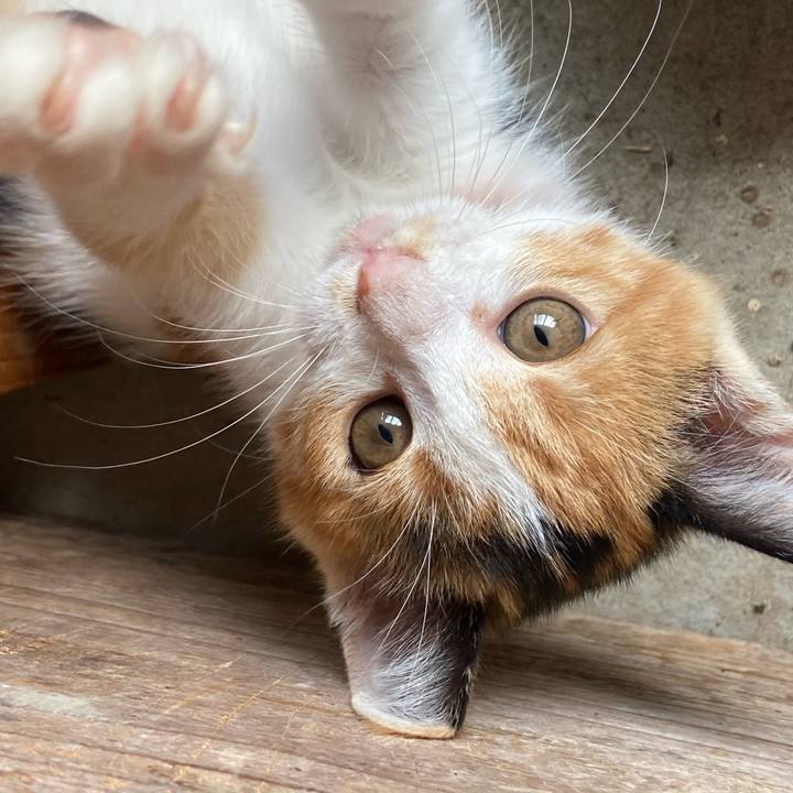 752b3eeb 776d 472f 8dd2 7164f69b7dca 1631510082965