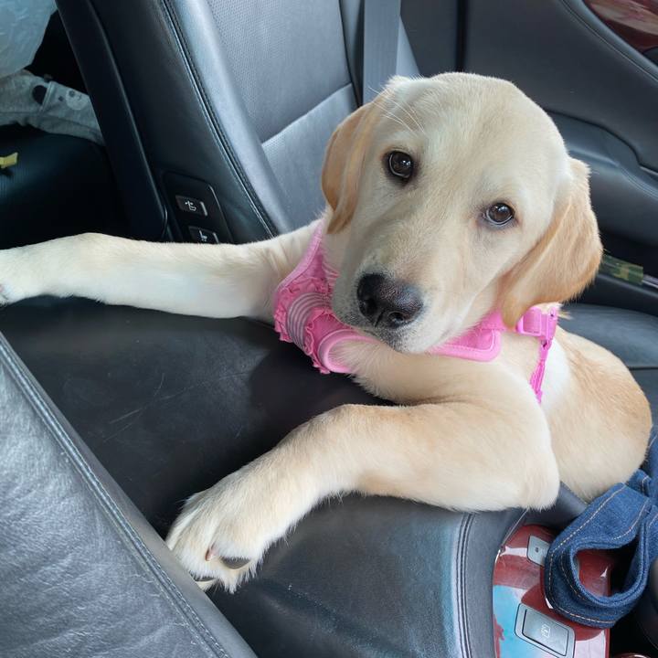 752bbd60 054b 4f7c 9e02 9e20c7dfc051 1615303494675