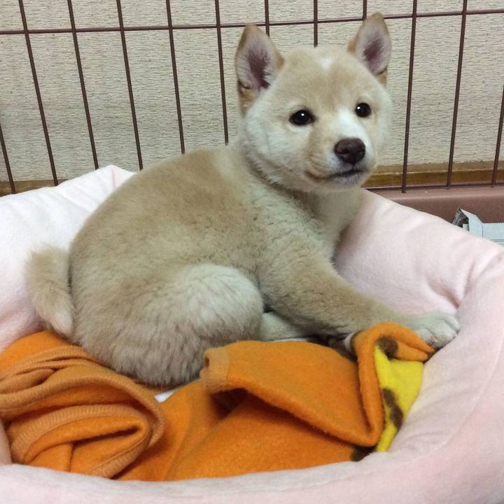 752bf1d3 28de 4832 b11f eca111bca028 1613687754526