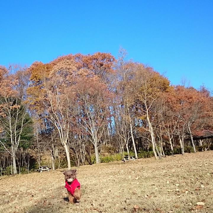 752c0553 5392 48b2 9236 9d5935462b87 1512087466982