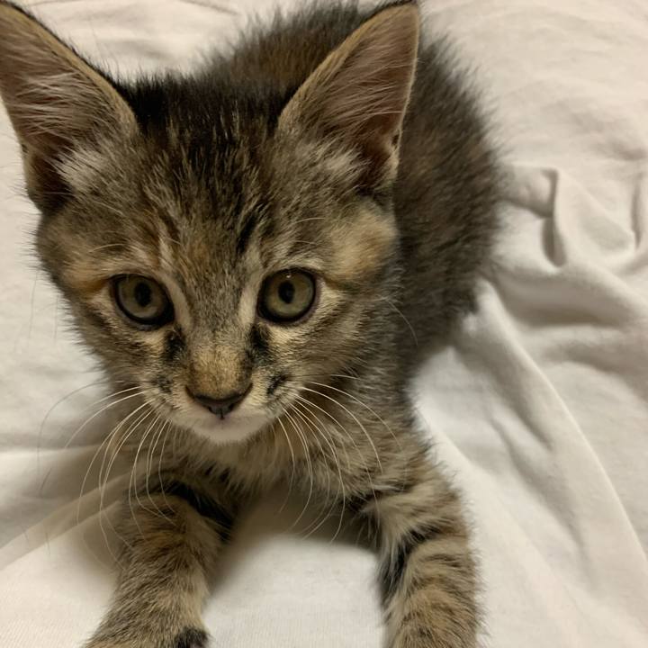 752c09d6 5eb2 481a ae51 b64728305d1a 1590414099861