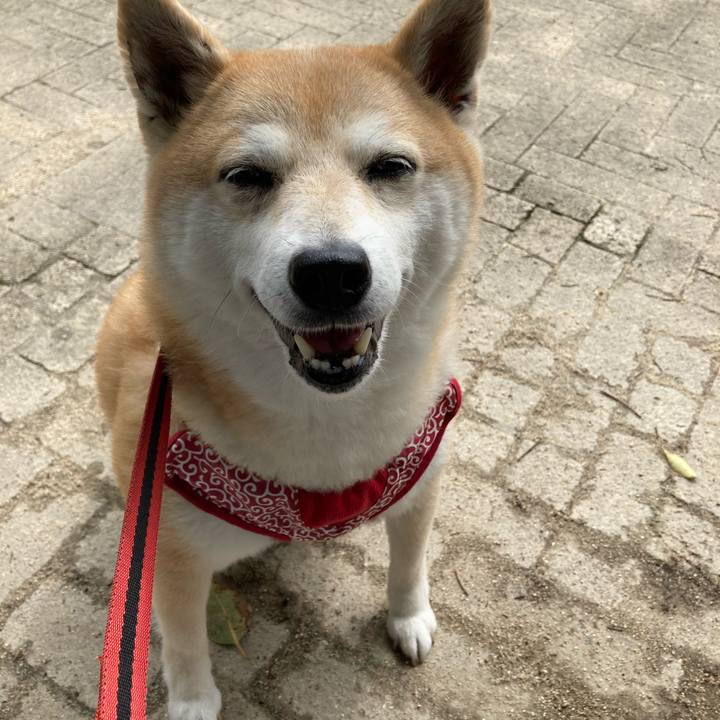 752c1b64 7f65 42d7 a6c2 d44e0d3f6d80 1621344208426