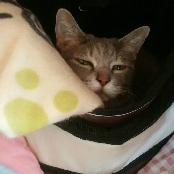 752c27e7 ab67 40fc bdff 606ba52aaaed 1571098389555