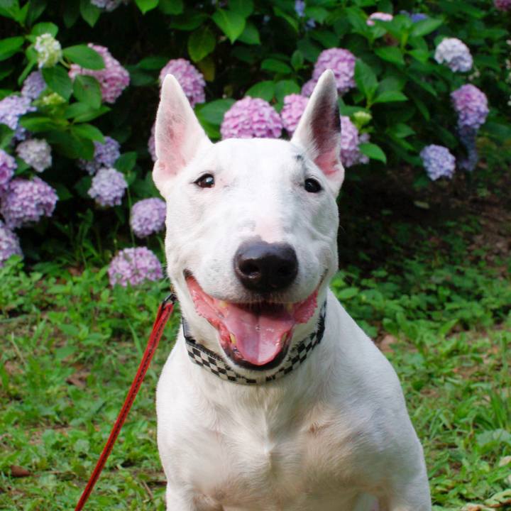 752c3bbb d623 4aeb 9ed6 c540a8c90507 1623159160922