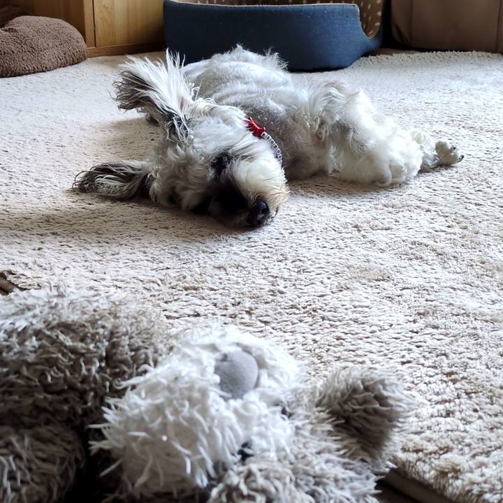 752c4c04 75cc 46f6 9f26 ea2f3dc4d6e8 1754442981172