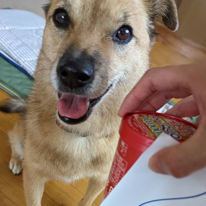 752c50cb 2b3a 479a a3a6 74ccfb4100cf 1662974667736