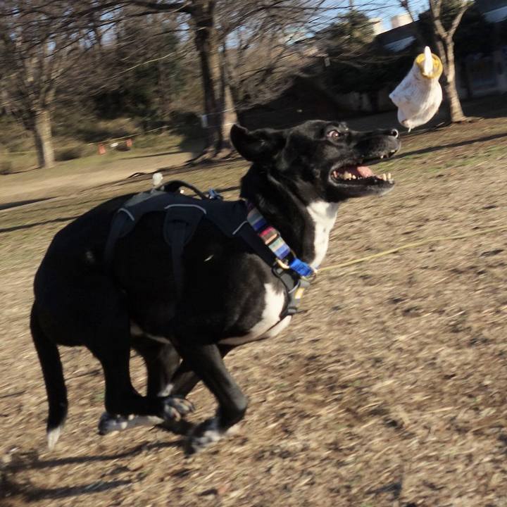 752c9f68 bc06 41b9 9c2a 52789537e0f1 1646614275882