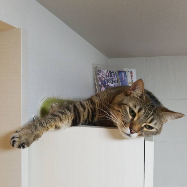 752cafe7 ce9a 4160 9685 f022ae4ea6db 1587504636079