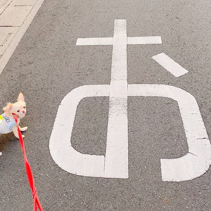 752ce453 9783 41e3 9db9 6eaa29b91476 1633433054689