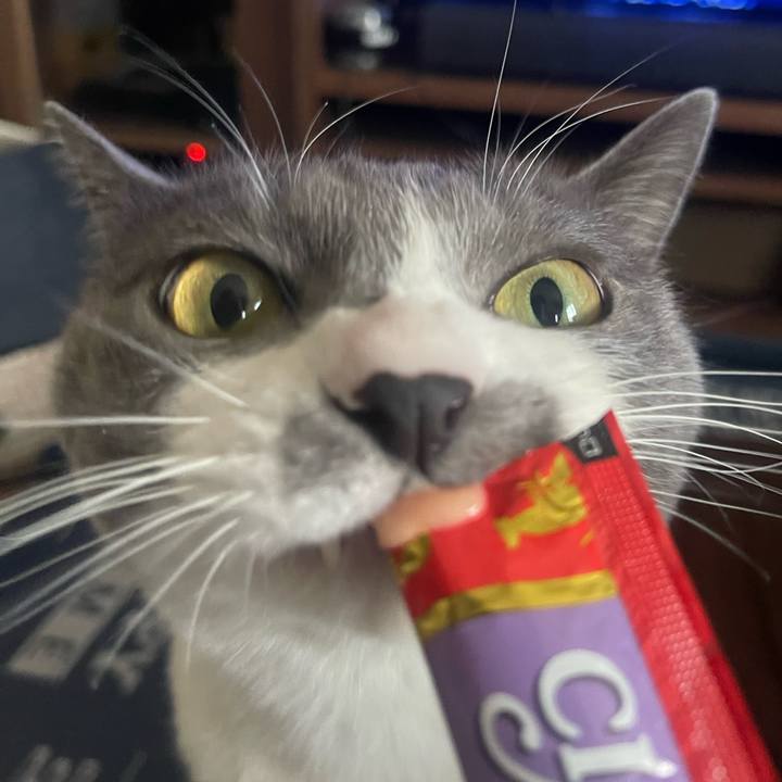 752ce683 460e 4e2a b09c b58ec6948771 1707462797212