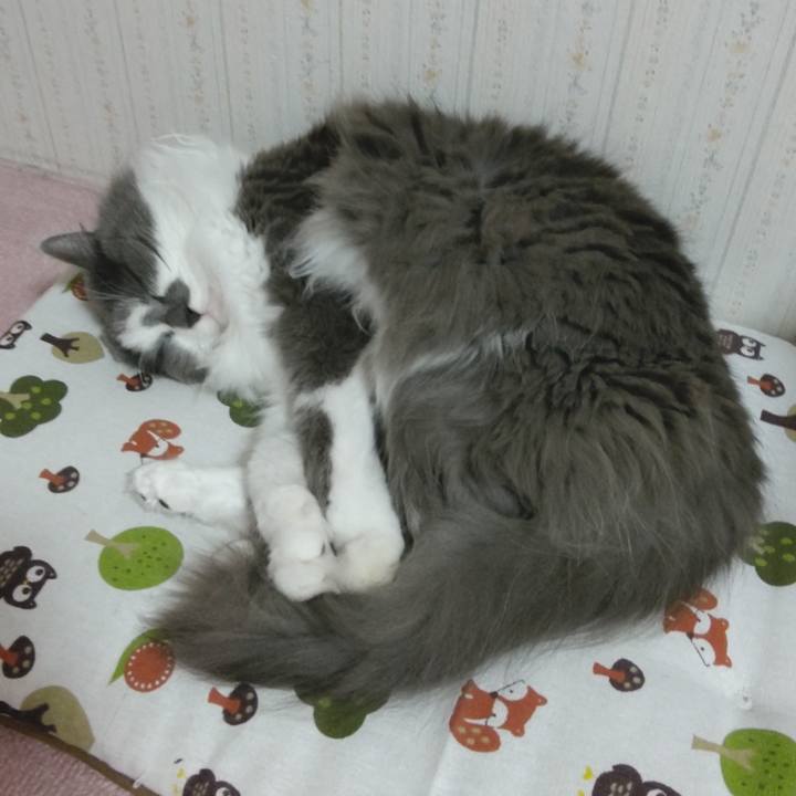 752cfca3 2742 4221 acbe 6854f04a7b00 1620813543215