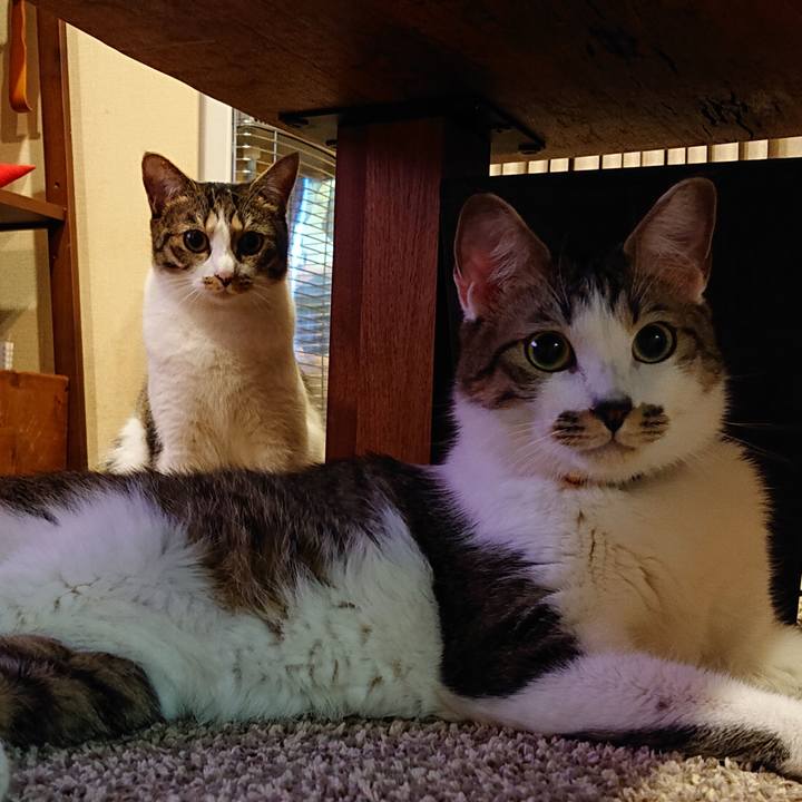 752d201e e0f2 40d6 873d 27ef369cc502 1573742513878