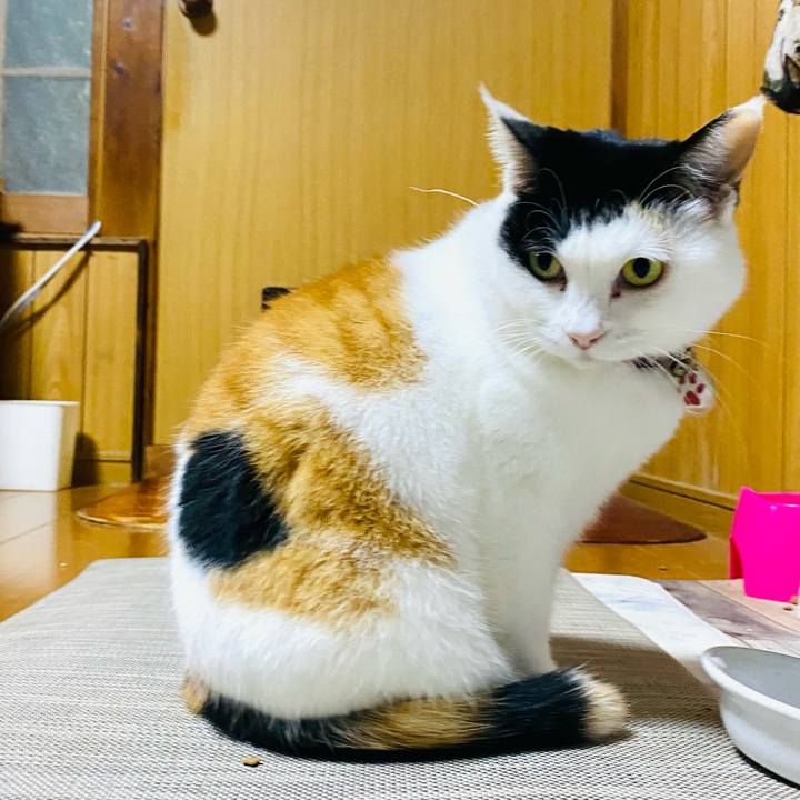 752d4c83 9433 4aba a028 5effc6ea0b82 1733350032176