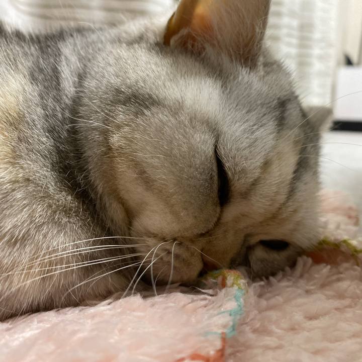 752d6920 4b97 43b5 8daa ecae881a5e96 1738752342180