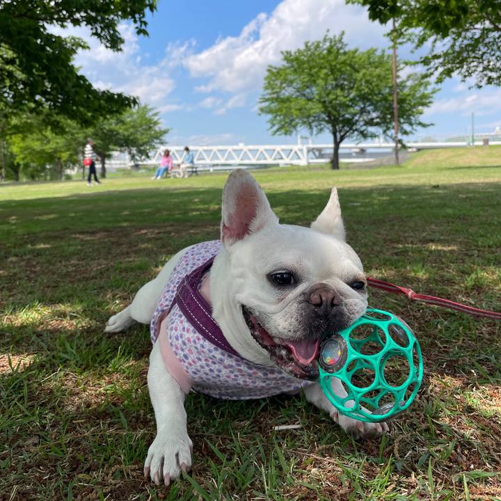 752d6c4b c99e 416e 8640 fb0aa159a151 1745907994740