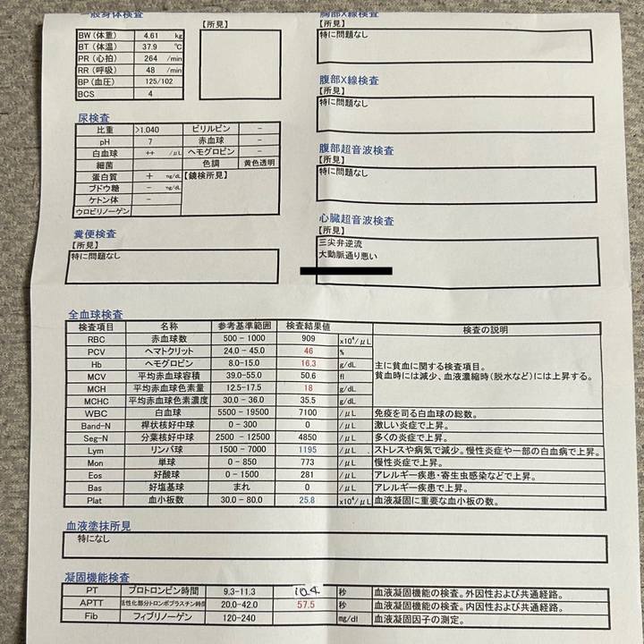 752d9a11 5ad5 4ba6 959e 591410f437a1 1761556389410