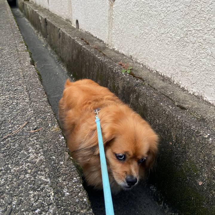 752dc6c4 78c0 4495 a592 2e31e88cb9cd 1658350203607