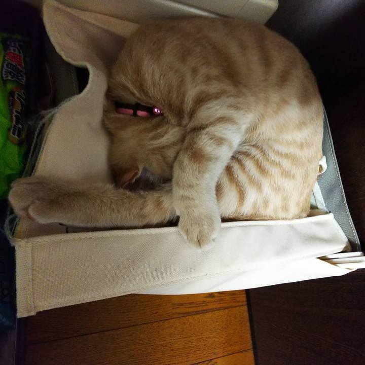 752dd5c0 ff03 4ded aa91 50c89672c075 1544860213106