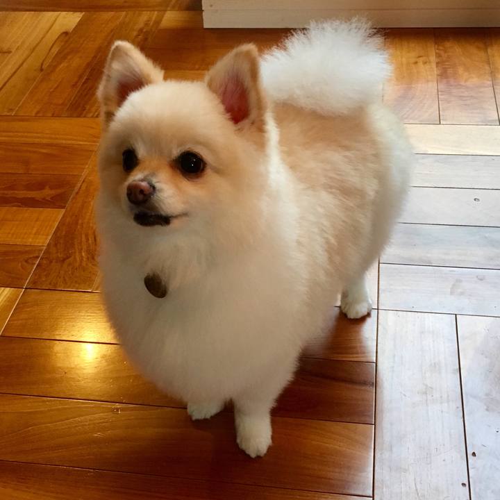 752de53e e477 45be 89cd 8665d9ffdfb5 1577784738431