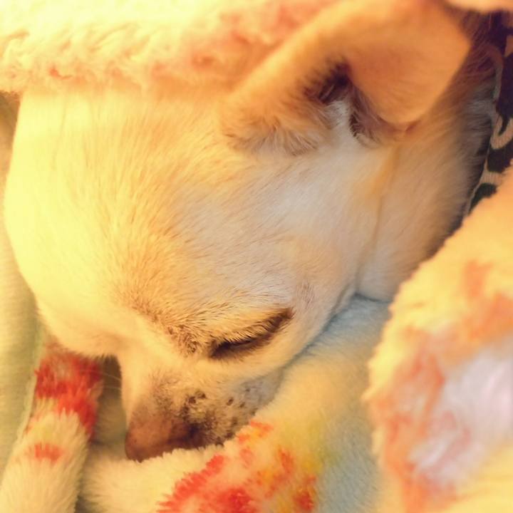 752e07f2 abb6 4d84 a8ba a912b931cd2a 1513828163964