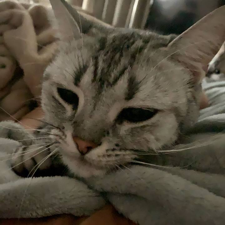 752e17c7 9768 4107 9fea 1ce0b6765259 1633479361214