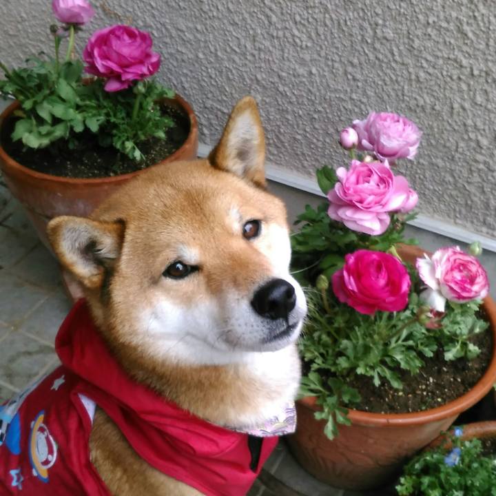 752e1d8e 8dec 412c a0f1 7e3635ad6037 1520471797830