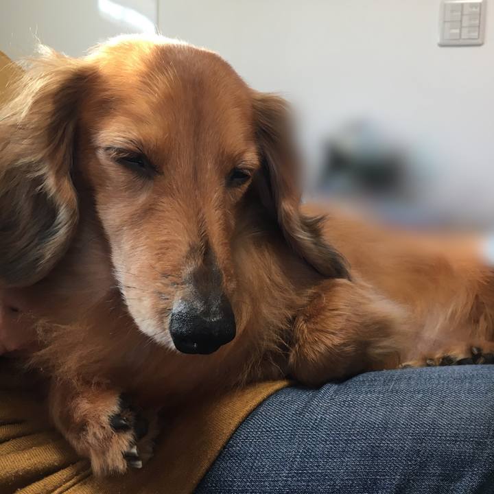 752e4a4a 7115 460d ba95 a744253ee28c 1587214834007