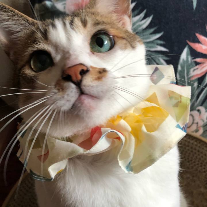 752e604b e2c2 4964 b9d4 20dfc0cce791 1758934467667