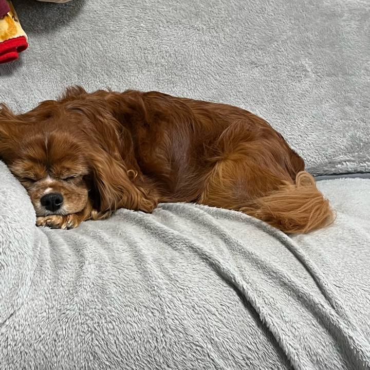 752e7371 1a94 4ed9 8484 5ecfd7453ca7 1699914789528